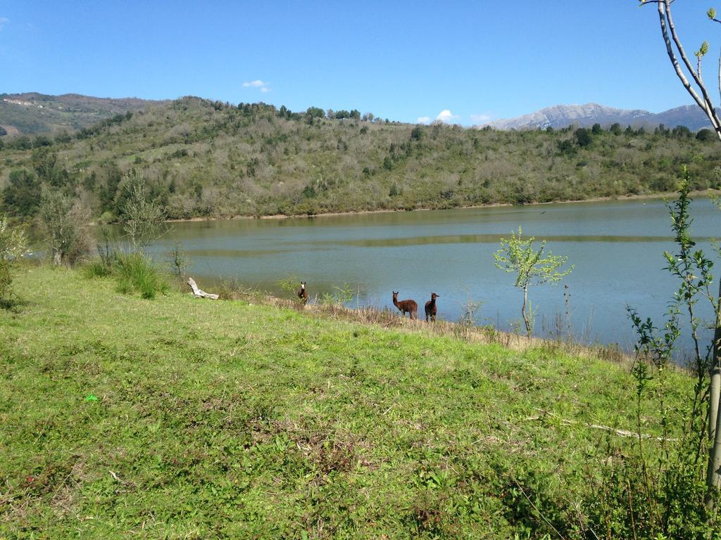 Green House Oasi Fiume Alento Prignano Cilento Zewnętrze zdjęcie