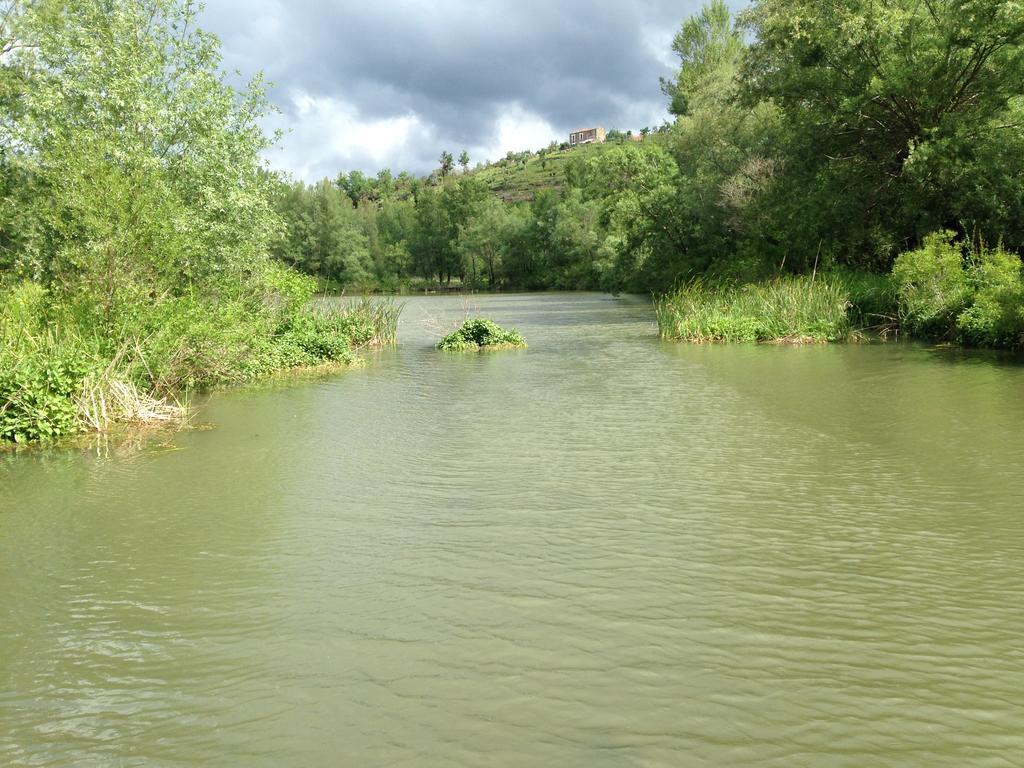Green House Oasi Fiume Alento Prignano Cilento Zewnętrze zdjęcie